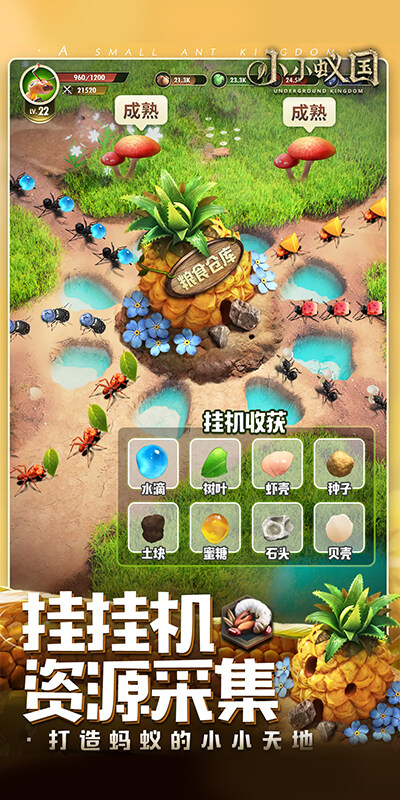 小小蚁国-极速发育版